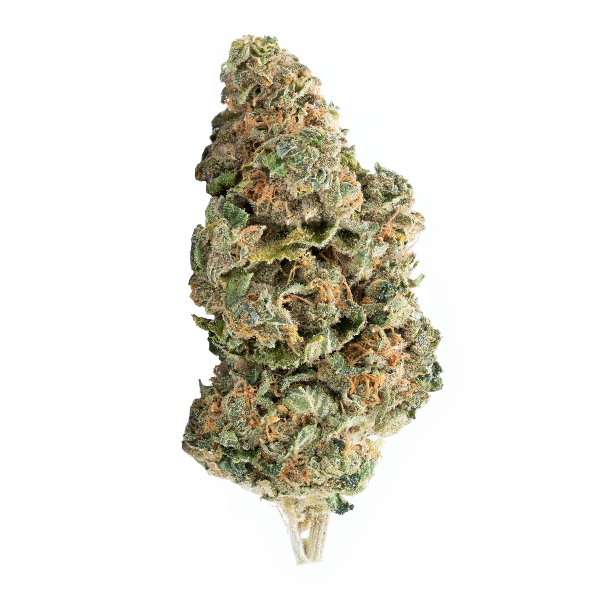 Strawberry Dream (Elevator) • Wiid Boutique Inc.