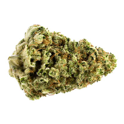 Jean Guy (7 Acres)