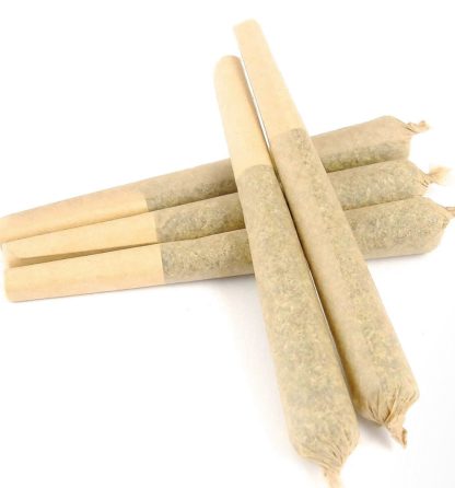 The Batch (The Batch) Pre-Roll