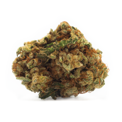Sativa (Houseplant)