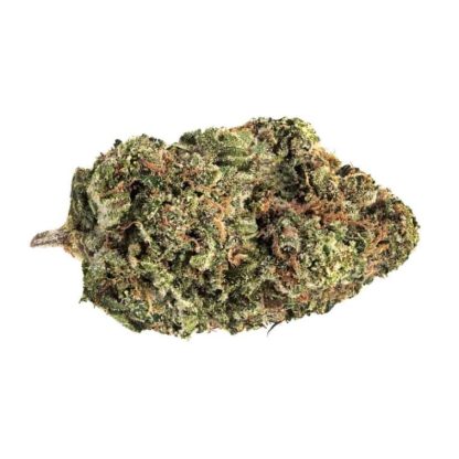 Jack Haze (7 Acres)
