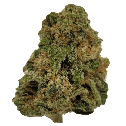 Joel's Biscotti (Western Cannabis)