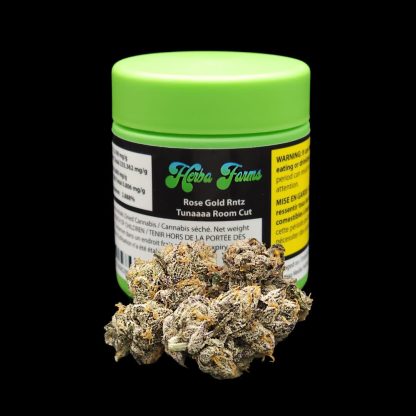 Rose Gold Rntz (Herba Farms)