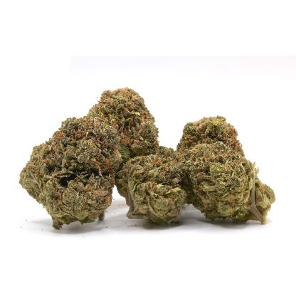 Royston Rockstar (Aaron's BC Bud)