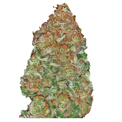 Slurricane (Freedom)