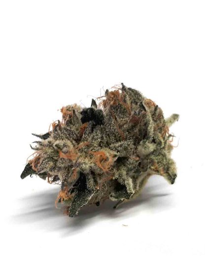 Sensi Wizard (Highland) Pre-Roll