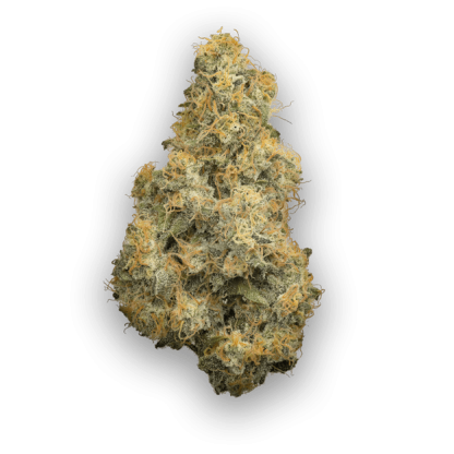 BC Organic Pure Cake Skunk(Coast Mountain Cannabis)