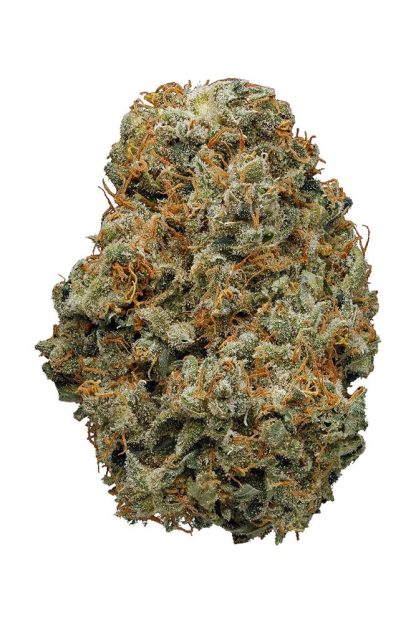 Skunk #1 (Aaron's BC Bud)