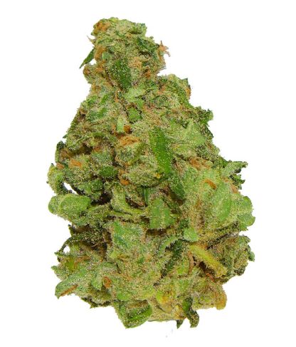 Tutti Frutti (Benchmark Craft) Pre-Roll