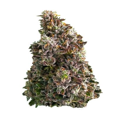 Bazooka (Strain Rec Craft)
