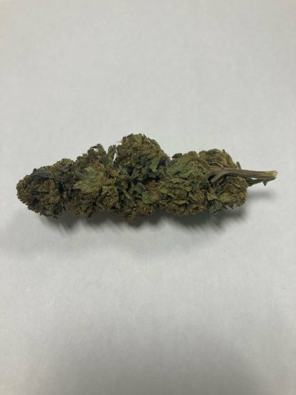 Cherry Driver Infused (Argentia Gold) Pre-Roll