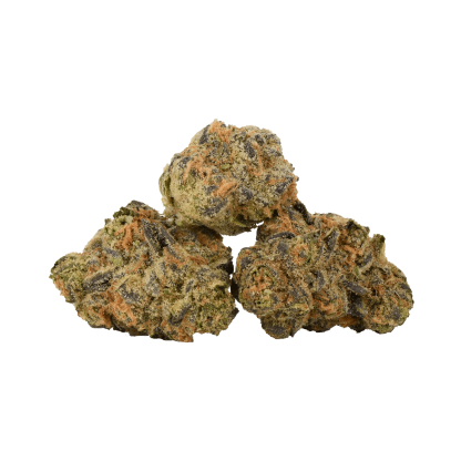 Jungle Cake (Table Top)