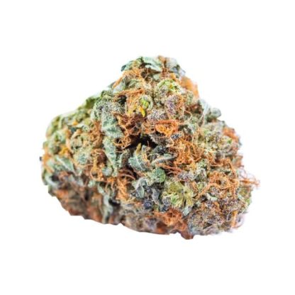 Tropical Storm (SKOSHA) Pre-Roll