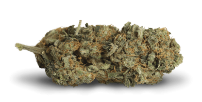 Mango Haze (Dan's Balance)