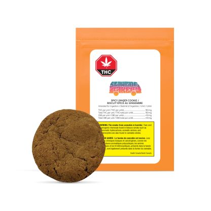 Spicy Ginger Cookie (Slowride Bakery)
