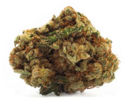 Sativa (Houseplant) Pre-Roll