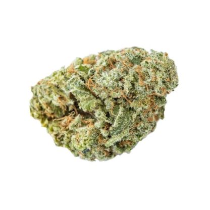 Nor'easter (SKOSHA) Pre-Roll