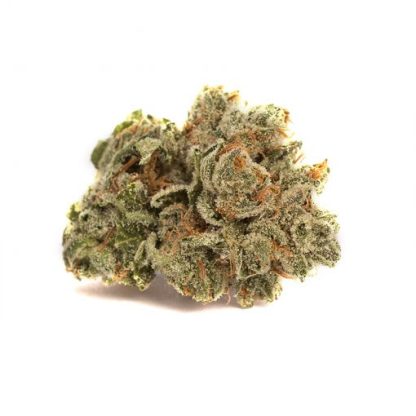 Alien Dawg (Canaca)