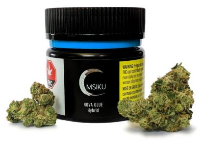 Nova Glue (Msiku)