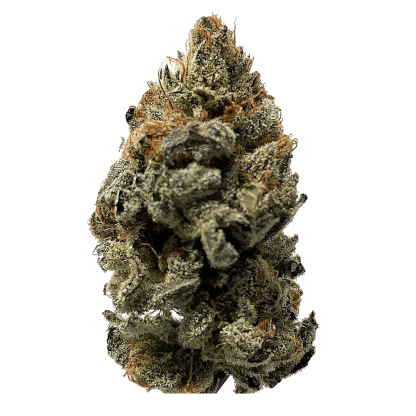 10th Planet (Western Cannabis)