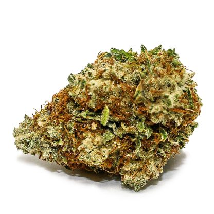 Sensi Star (Spinach)
