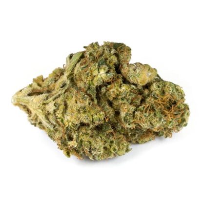Bella Luna (SYMBL)