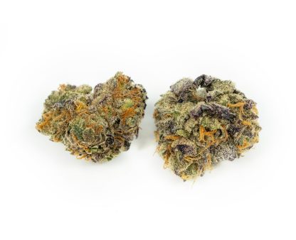 King Tut (PoolBoy) Pre-Roll