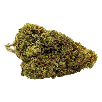 Pink Mango (Fleurish)