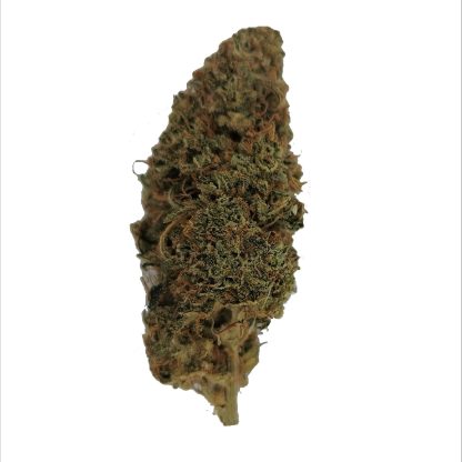 BC Sour Diesel (Canna Farms)