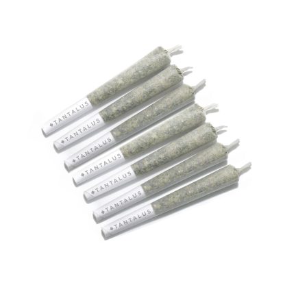 Holiblaze (Tantalus) Pre-Roll
