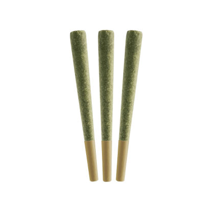 STO:LO Haze (All Nations) Pre-Roll