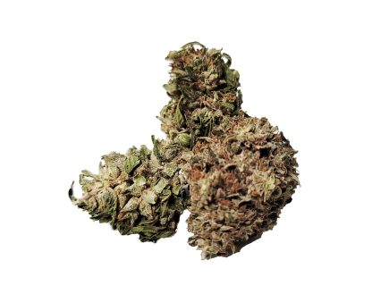 Panakeia Pure CBG (Growtown)