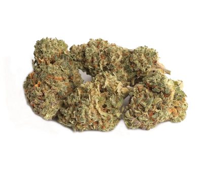 Lost Cause (Jenn's OG)