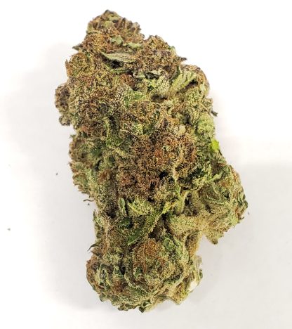 Tutti Frutti (Freedom) Pre-Roll