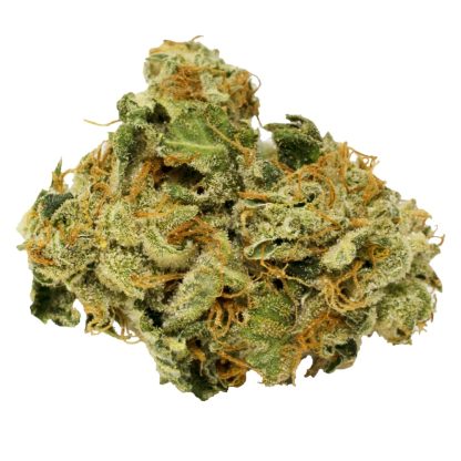 BC Indoor Lucid Bolt (THC Biomed)