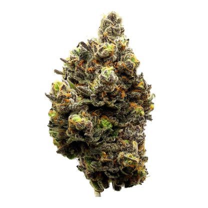 Garlic Sherbet (Fleurons) Pre-Roll
