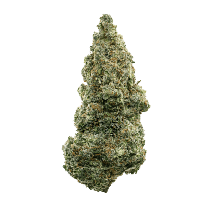 STO:LO Haze (All Nations)