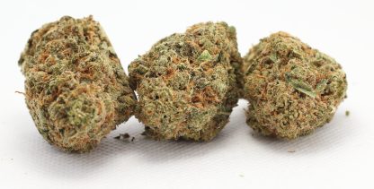 Sunrise (Palm Gardens) Pre-Roll