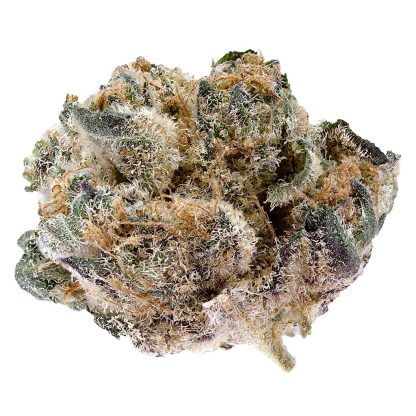 Blackberry Gelato (Legend)
