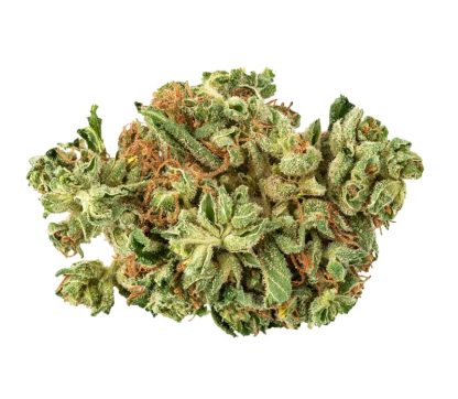 OG Melon (Aurora)
