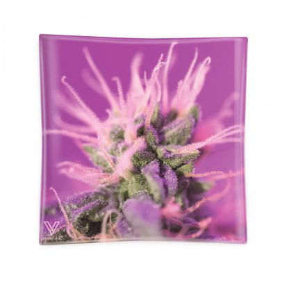 Ashtray - Pink Lemonade