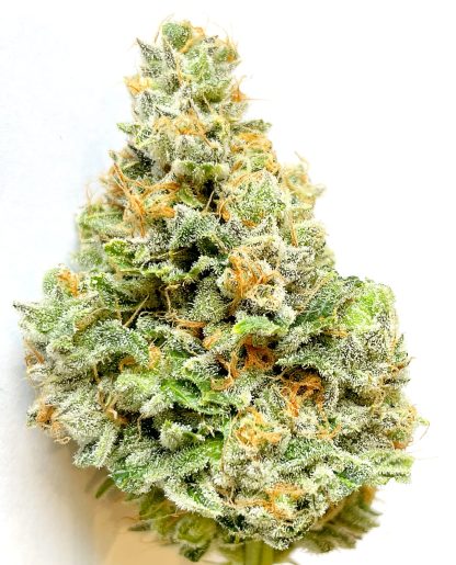 NYC Cherry Pie (MIDS)