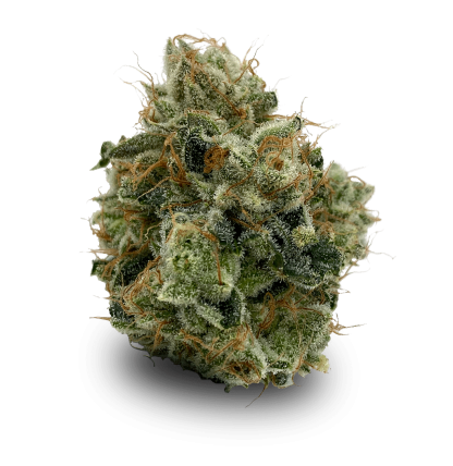 Citral Glue (Western Cannabis)