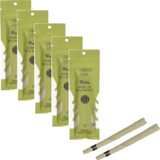 Choice Leaf Palm Cones - 2pk