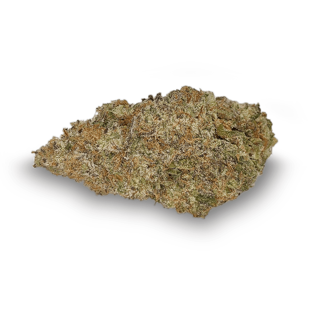 Watermelon Sugar (Palm Gardens) • Wiid Boutique Inc.