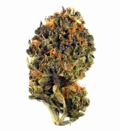 Pineapple Cookies (Elevator)