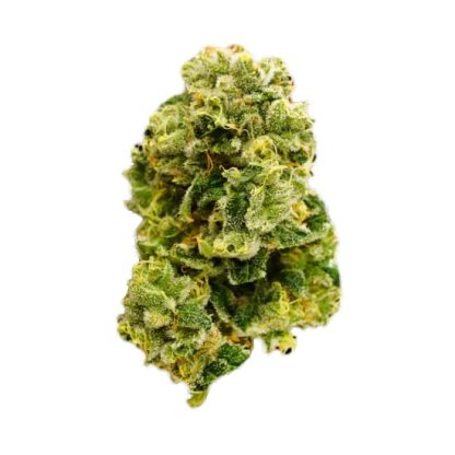 Matanuska Thunder F#*k (Western Cannabis)