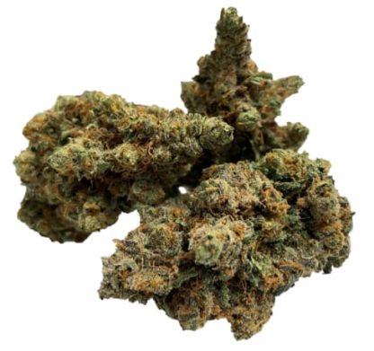 Organic Cherry Glue Fritter Licker (NB Proudly Grown)
