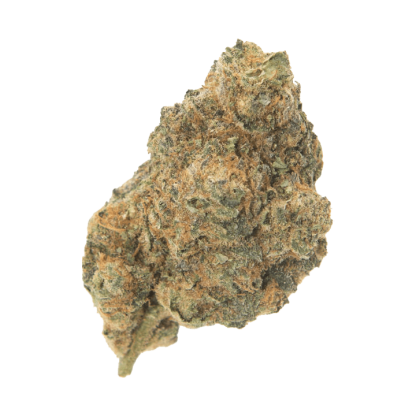 Black Dolato (EastCann)