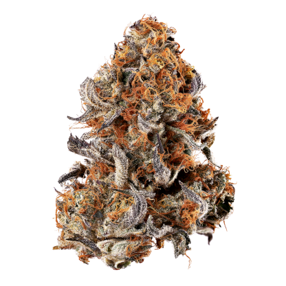 Gelato Mint (Tribal)